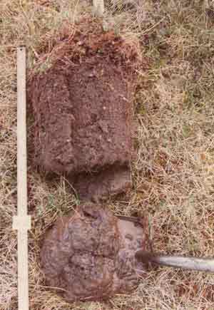 soils photo sw-25a