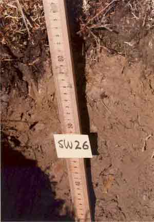 soil photo