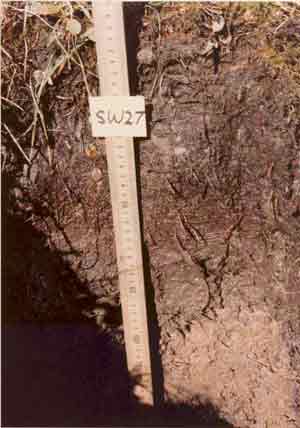 soil photo