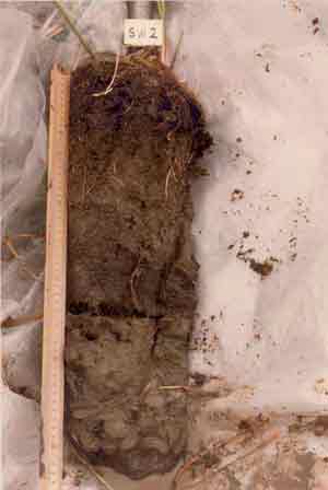 soil photo