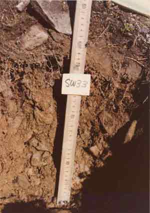 soil photo