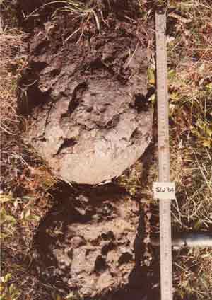 soils photo sw-34a