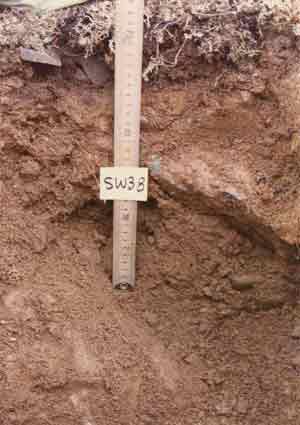 soils photo sw-38a