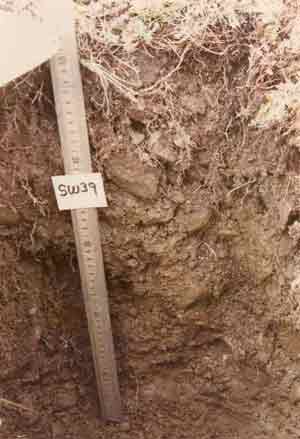 soil photo