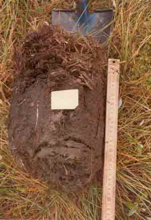 soils photo sw-3a