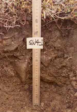 soil photo