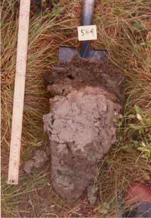 soils photo sw-4a