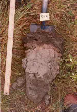 soils photo sw-4a.jpg