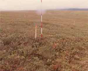 soil photo