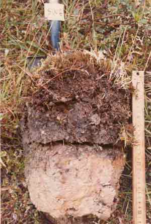 soil photo