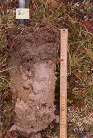 soils photo sw-7a