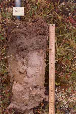 soil photo