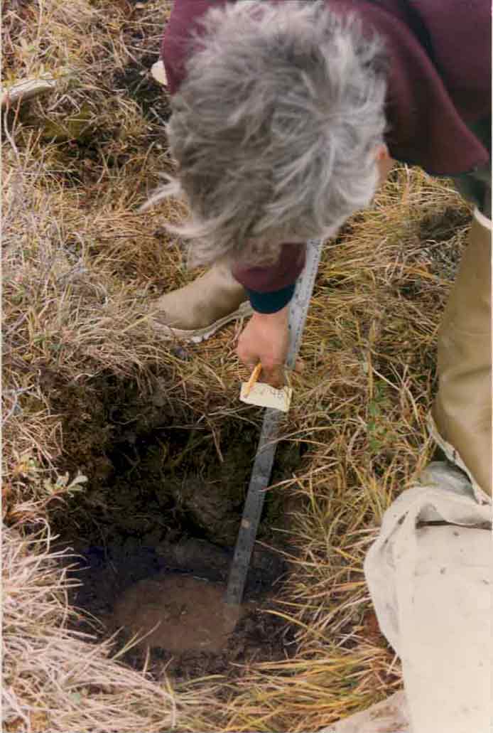 general plot photo