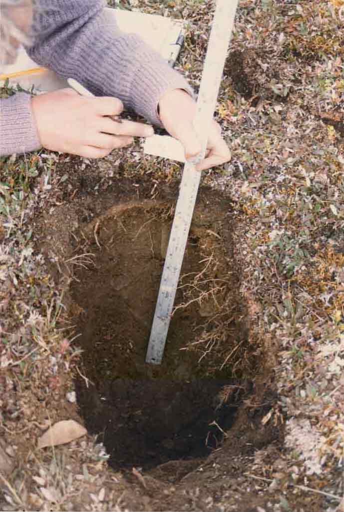 general plot photo