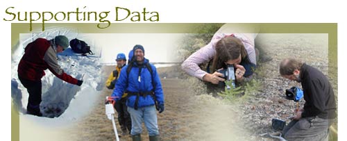Supporting Data