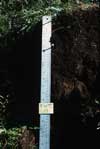 soil photo