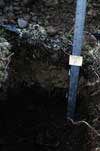 	SWT-8 Soil closeup	