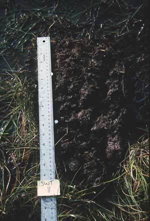 soil photo