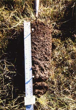 soil photo