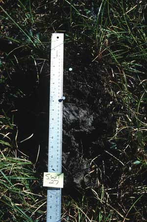 soil photo