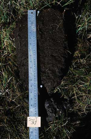 soil photo