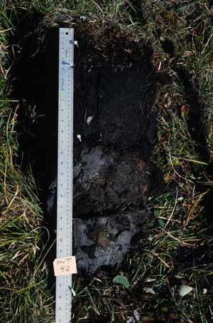 soil photo