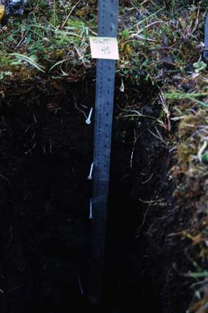 soil photo