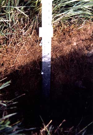 soil photo