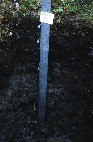 soil photo