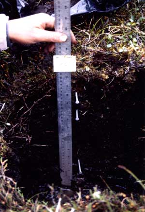 soil photo