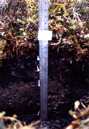 soil photo