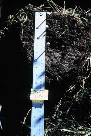 soil photo