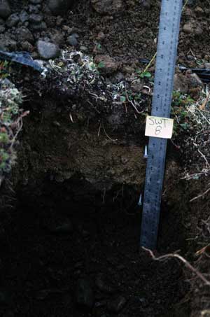 soil photo