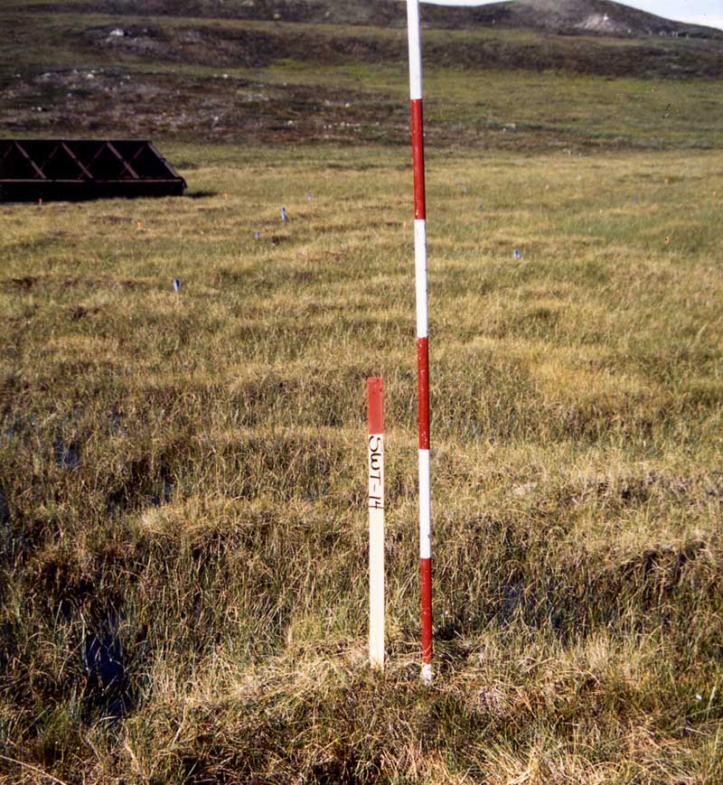 general plot photo