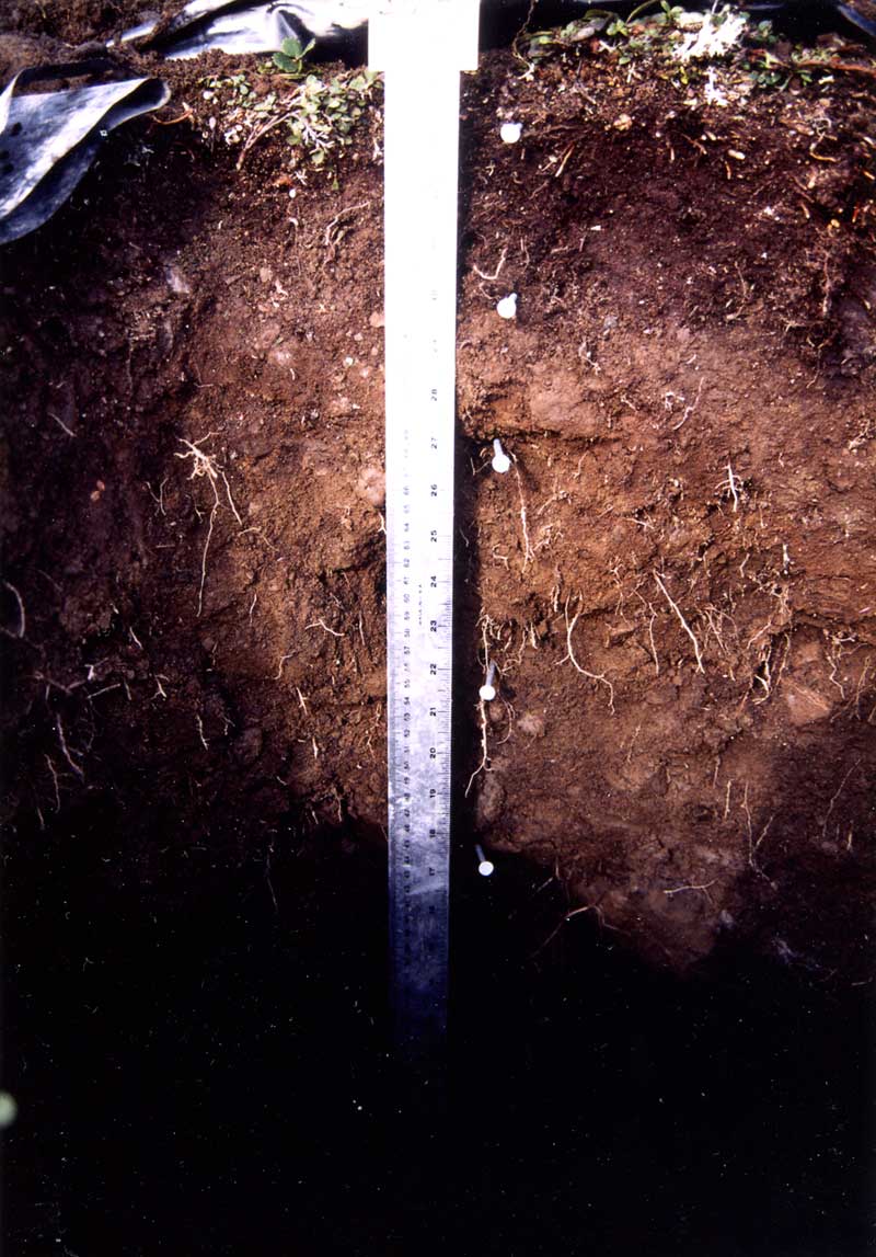 general plot photo