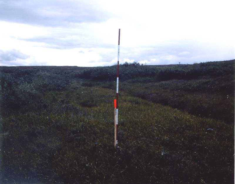 general plot photo