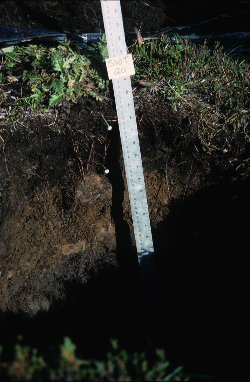 general plot photo