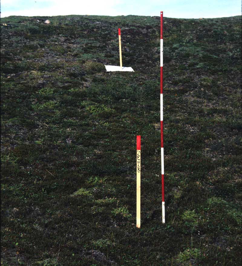 general plot photo