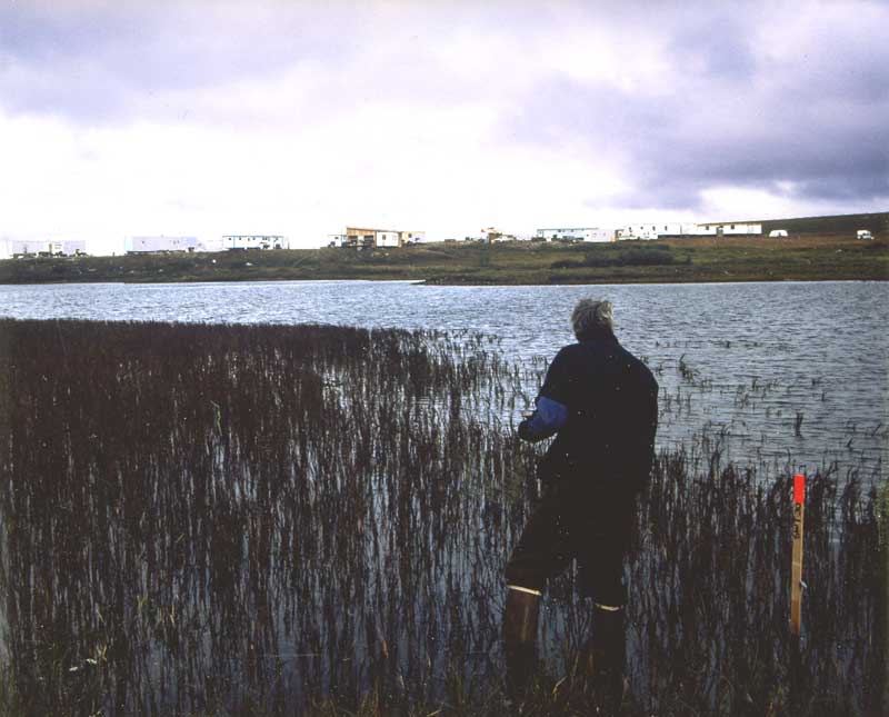 general plot photo