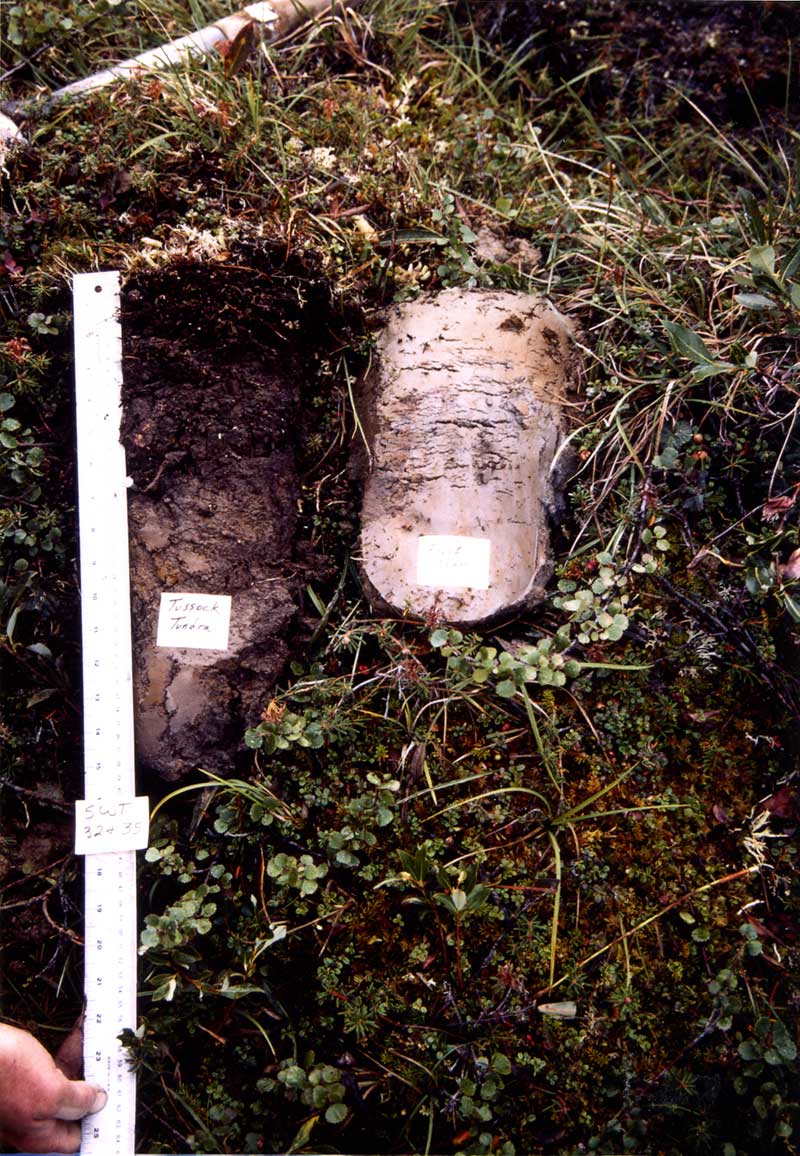 general plot photo