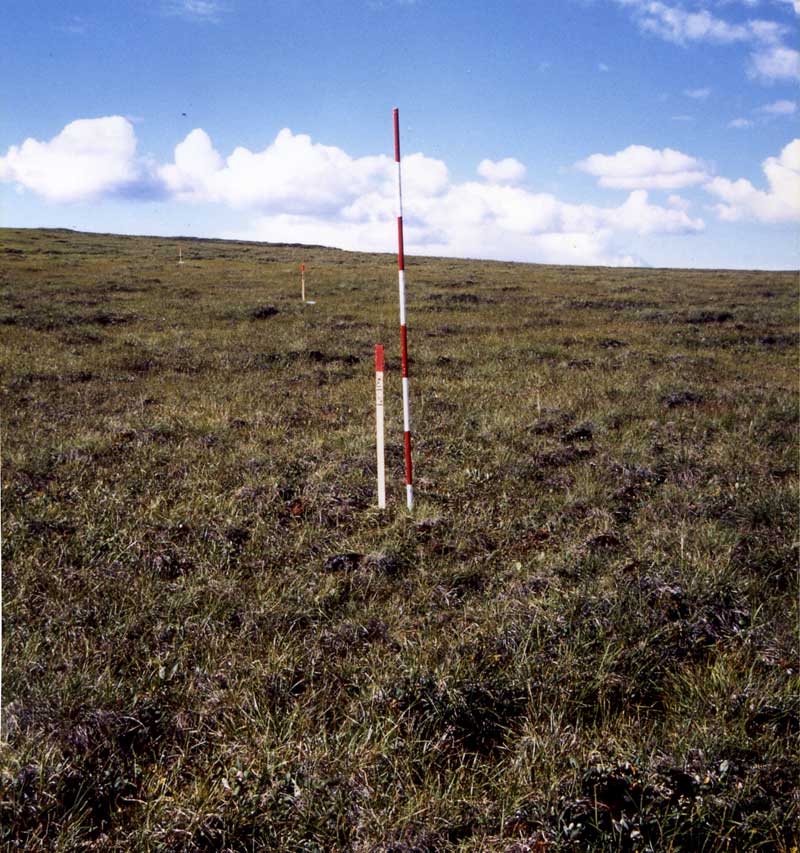 general plot photo