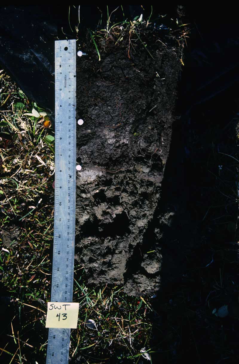 general plot photo