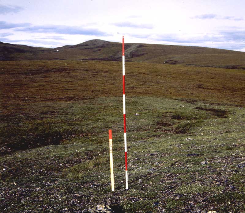 general plot photo