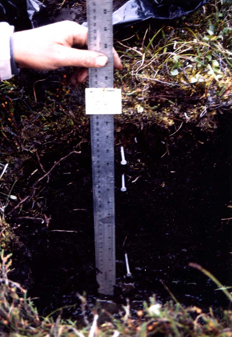 general plot photo