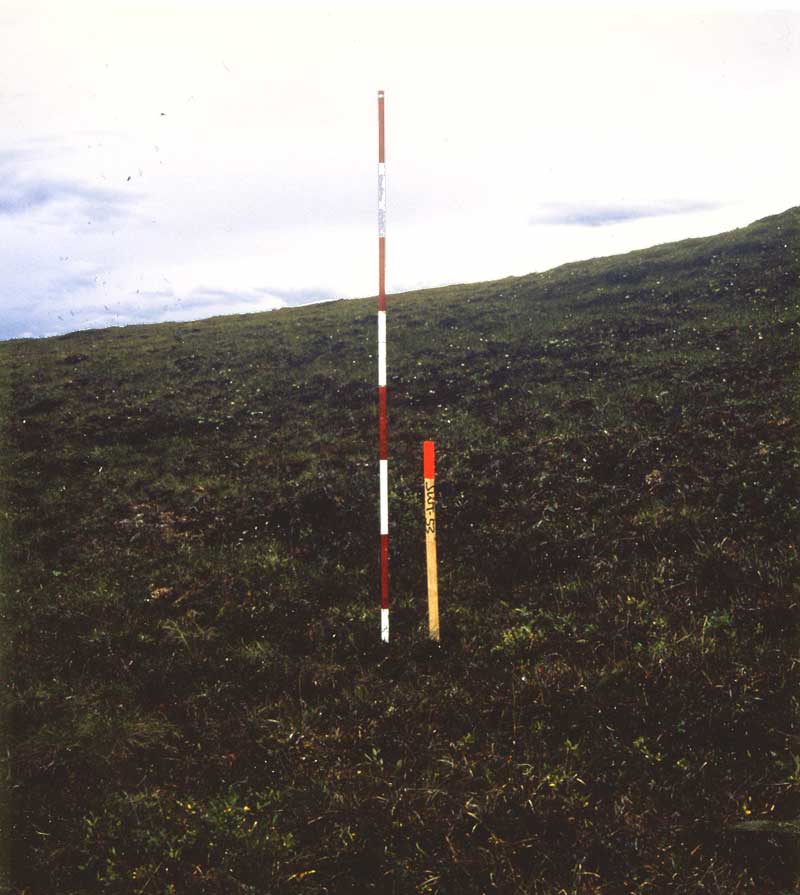 general plot photo