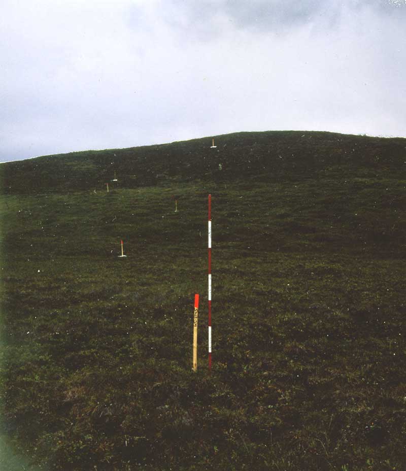 general plot photo