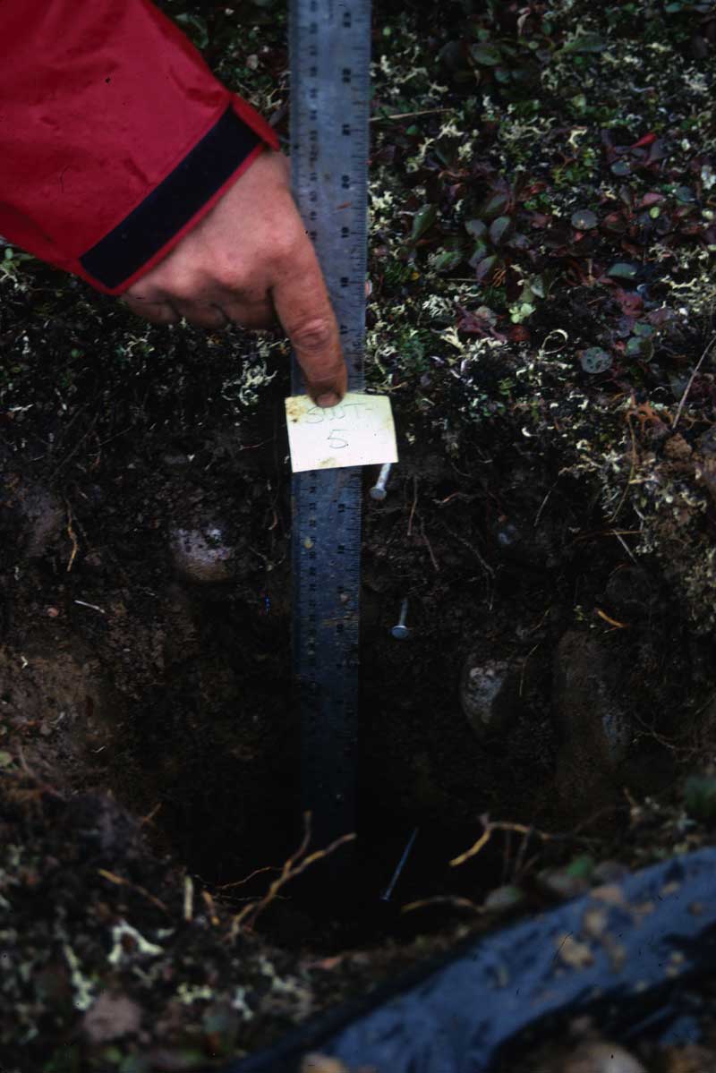 general plot photo