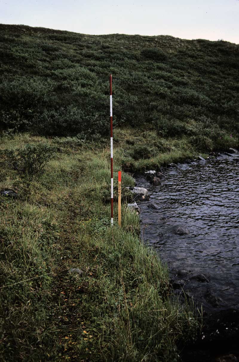 general plot photo