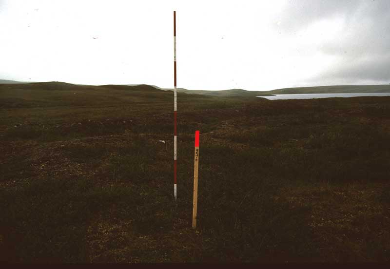 general plot photo
