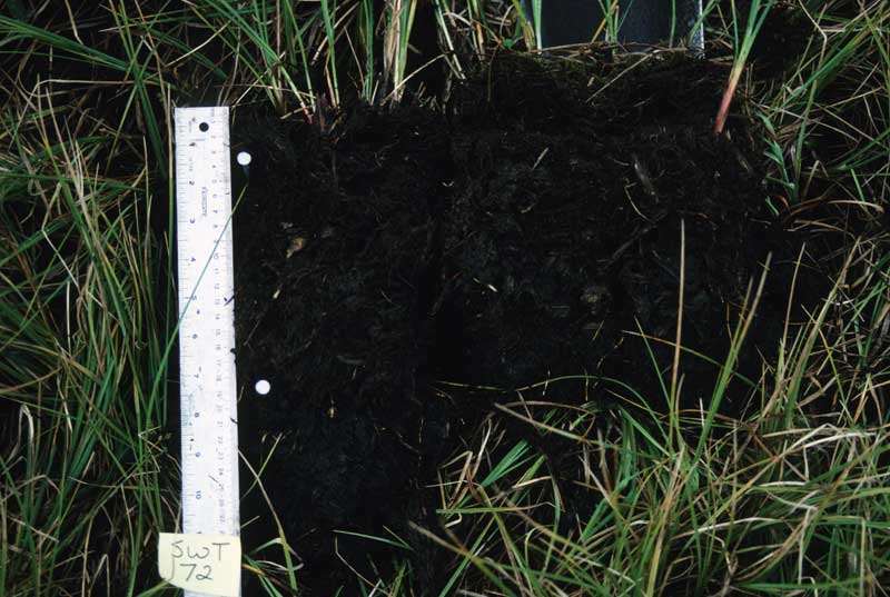 general plot photo